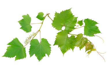 Similar image 1659574