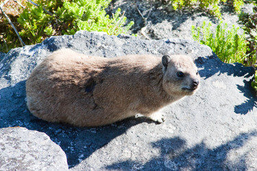 Similar image 1659581