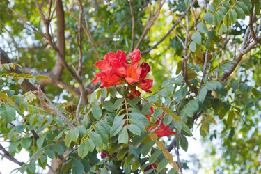 Similar image 1659600