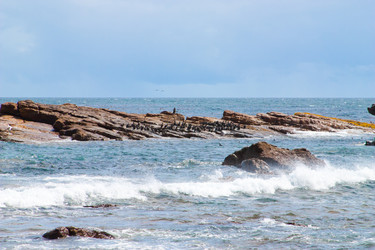 Similar image 1659605