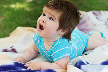 Similar image 1659607