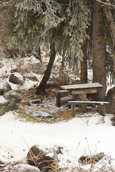 Similar image 1659621