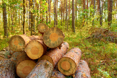 Similar image 1659740