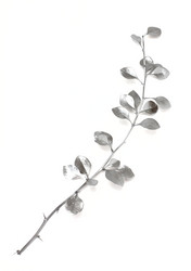 Similar image 1660038