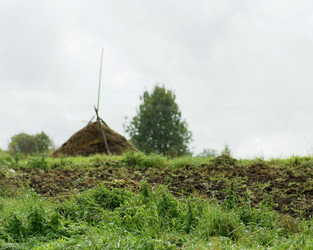 Similar image 1660045