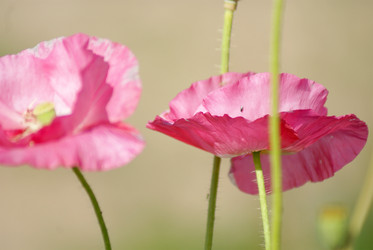 Similar image 1660046