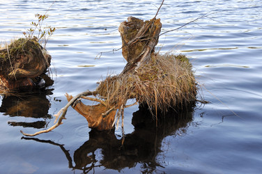 Similar image 1660106