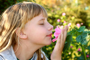 Similar image 1660112