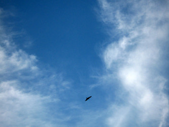 Similar image 1660188