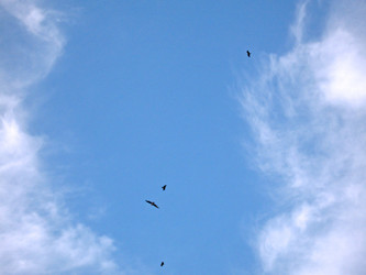 Similar image 1660191