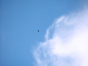 Similar image 1660192