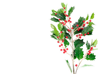 Similar image 1660309