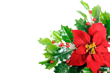 Similar image 1660328