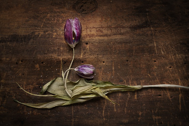 Similar image 1660371