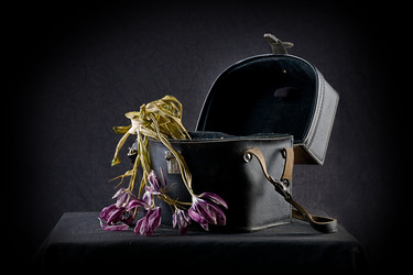 Similar image 1660372