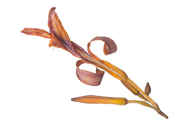 Similar image 1660385