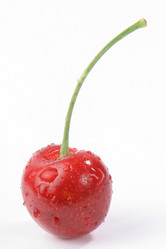 Similar image 1660392