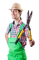 Similar image 1660593