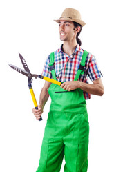 Similar image 1660594