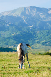 Similar image 1660614