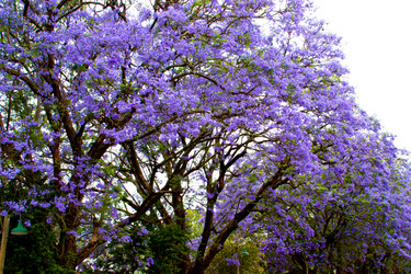 Similar image 1660633