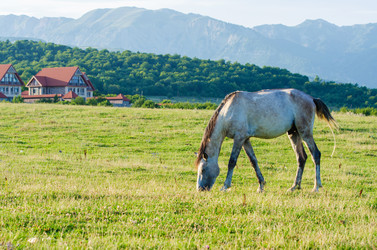 Similar image 1660648