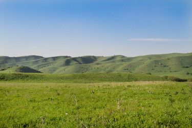 Similar image 1660682