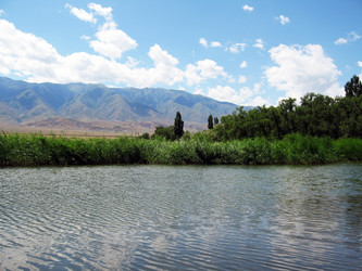 Similar image 1660928