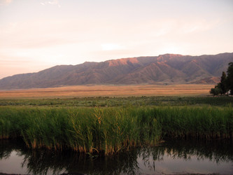 Similar image 1660933