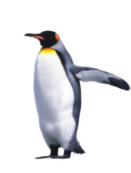 Similar image 1661050