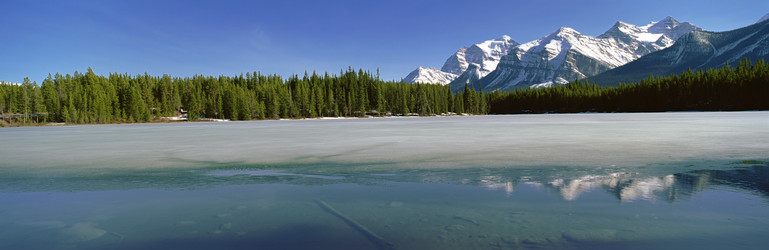 Similar image 1661056