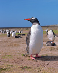 Similar image 1661058