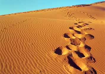 Similar image 1661062