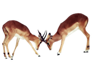 Similar image 1661065