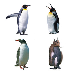 Similar image 1661068