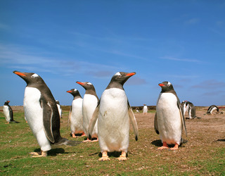 Similar image 1661072