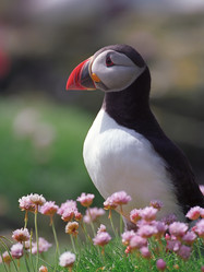 Similar image 1661075