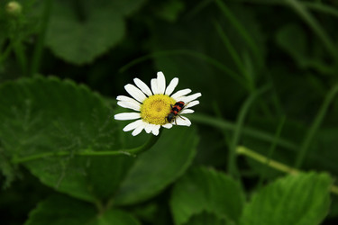 Similar image 1661249