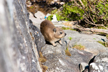 Similar image 1661253