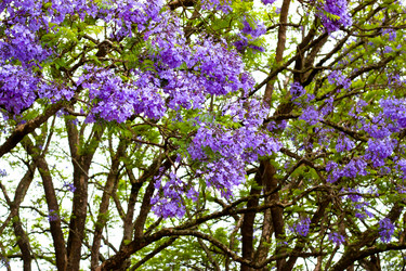 Similar image 1661254