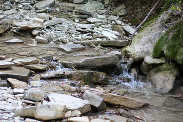 Similar image 1661287