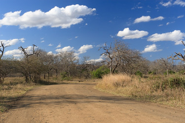 Similar image 1661307