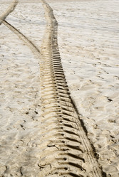 Similar image 1661351