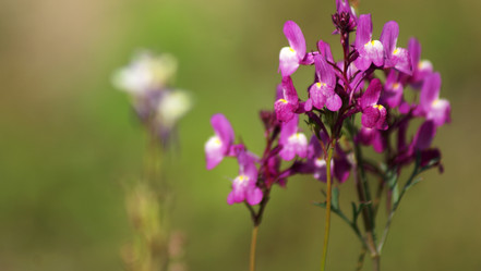 Similar image 1661394