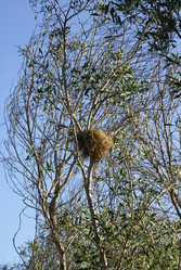 Similar image 1661395