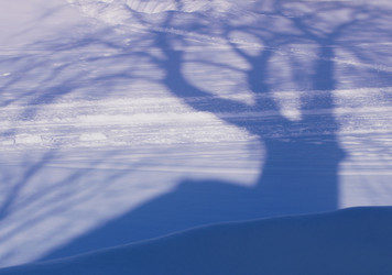 Similar image 1661396