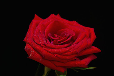 Similar image 1661465