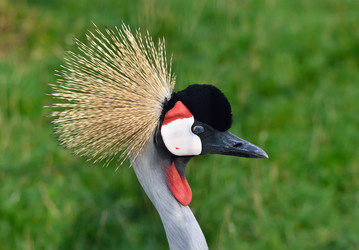 Similar image 1661468