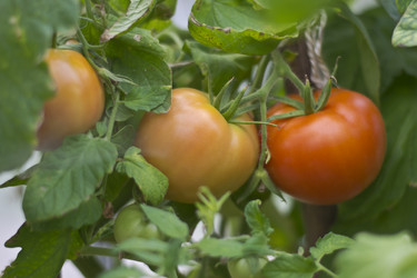 Similar image 1661473