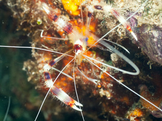 Similar image 1661719